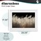 Stupell Industries White Feathers Windblown Grasses Framed Print Under Glass, design by Decent Exposures